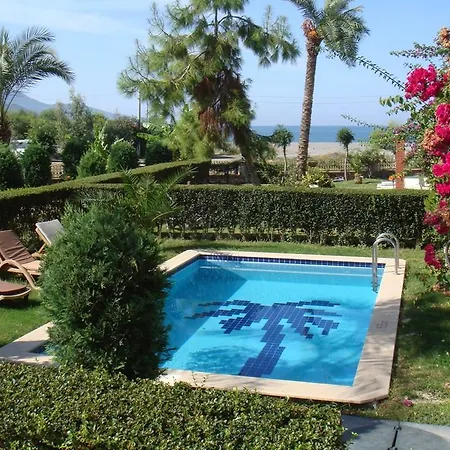 فيلة Seaside 26